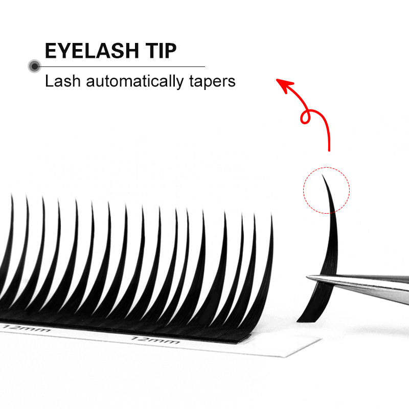 Winky Beauty 07 C/D Wet Eyelas - Eyelash Extension Repair ulasan dan harga
