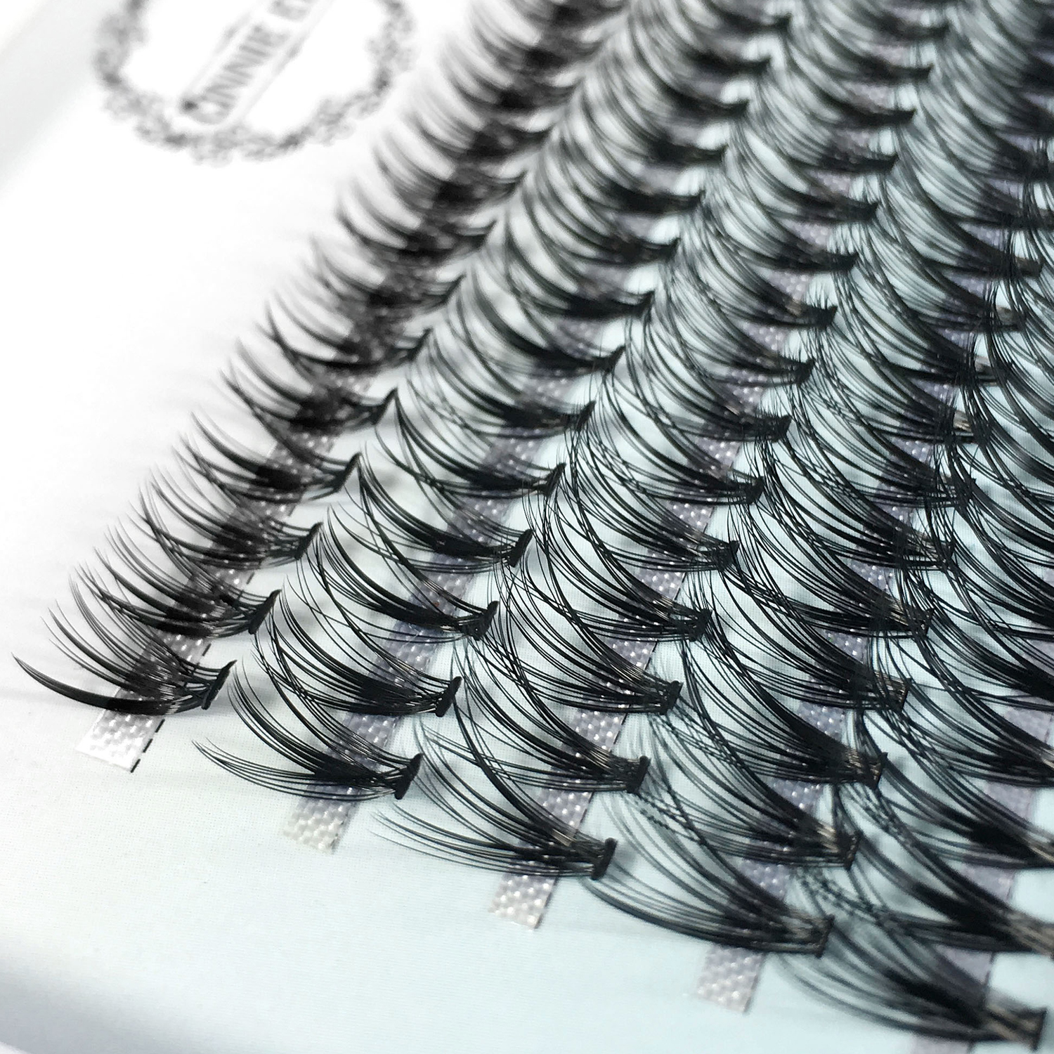 60/100 Bundles Eyelash Extensi - Eyelash Extension Logo Design ulasan dan harga