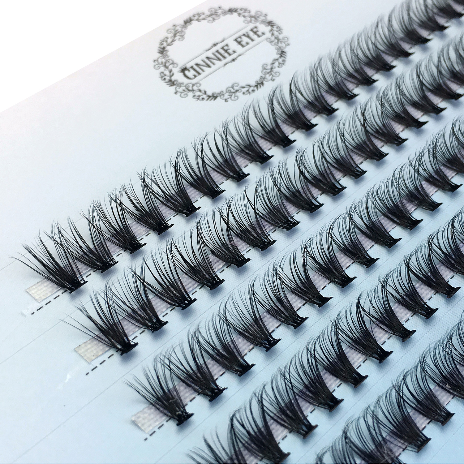 60/100 Bundles Eyelash Extensi - Eyelash Extension Logo Design ulasan dan harga